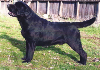 Blue, 14 months