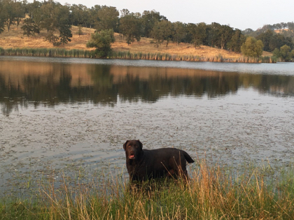 Kenya Belgairn Blue's Clues