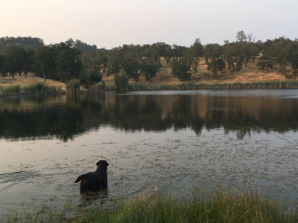 Kenya Belgairn Blue's Clues