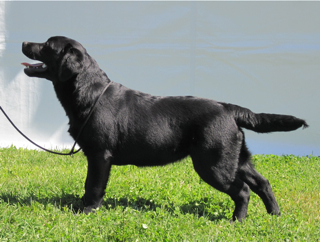 4 mo, photo by Linda Maffett