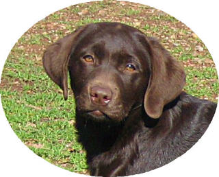 Janey 17 weeks