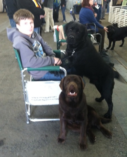 Jay with Jacob and Donner at the Cow Palace benched show!