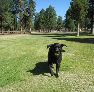 JJ ~ Having fun on vacation!