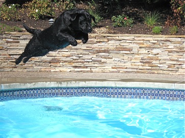 Liena loves her friends' pool