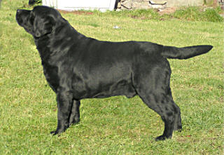 7 year old Marco in Wales