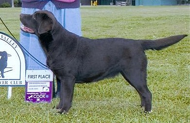 Belgairn Along Came Polly  ~ 10 months