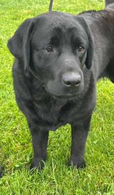 Six, 3 months