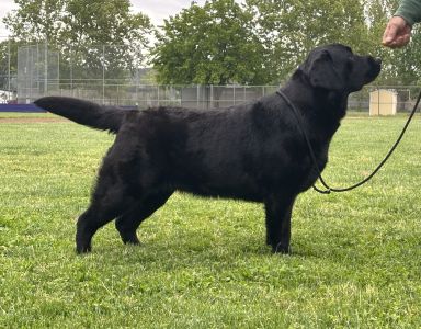 Potter, 10 months