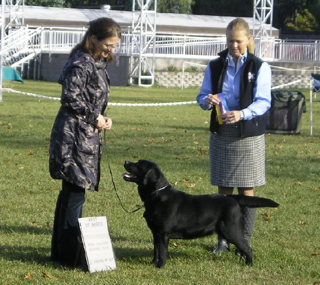 Quinn wins BOB from classes, then goes on to win a Group IV