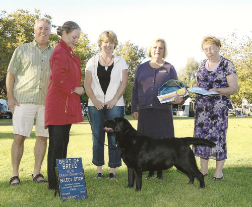 Quinn, almost 2 years