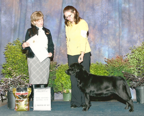 Group IV at 20 months