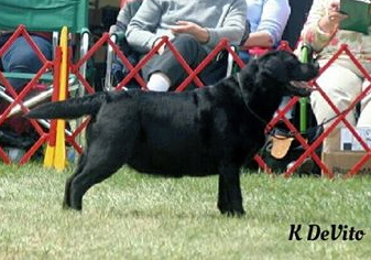 Quinn wins Select at the Potomac 14