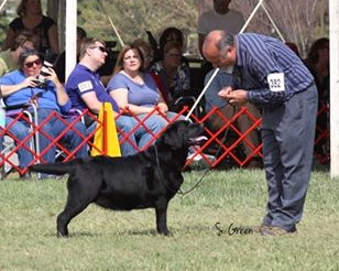 Bow to Quinn, Potomac 14