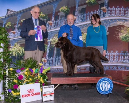 Belgairn Apparently So