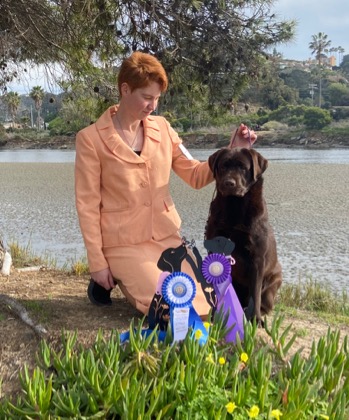 Belgairn Apparently So