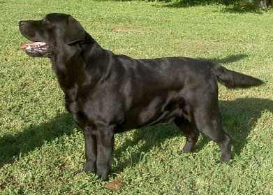 Belgairn Storm Surge At Kai Den ~ 2 years