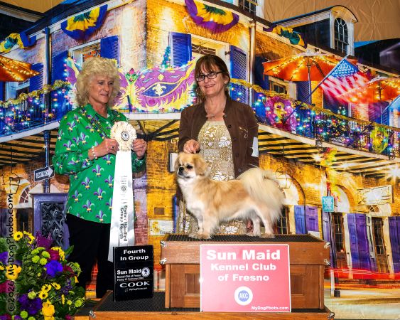 Zing OH4 (Feb, 2026)